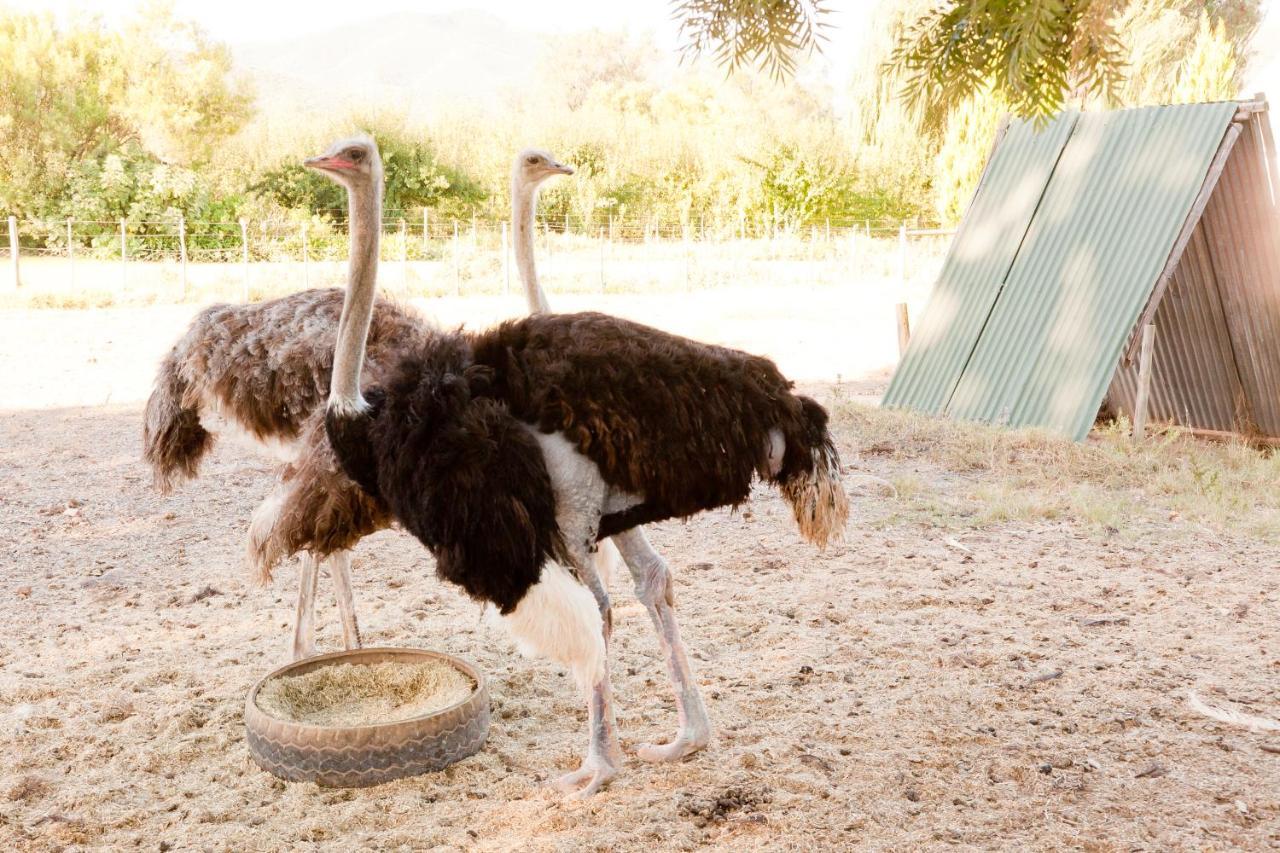Oue Werf Country House أوتشورن المظهر الخارجي الصورة